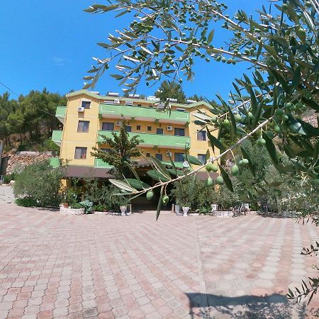 Hotel Bolonja Shëngjin Zewnętrze zdjęcie